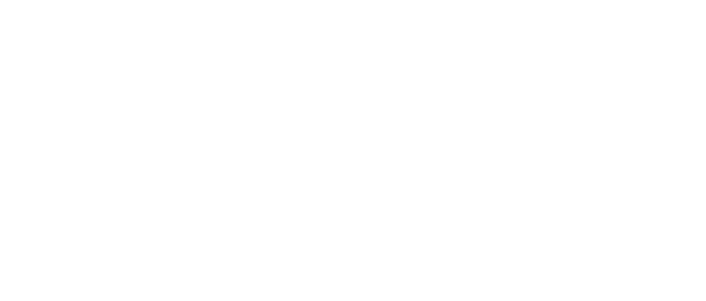 SPIDI